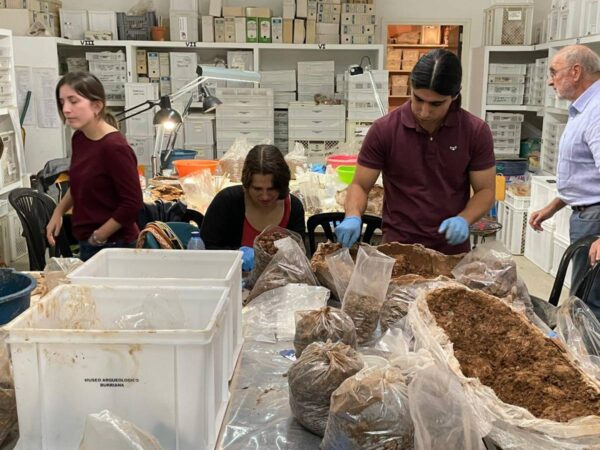 Estudiantes de Europa se reúnen en Burriana para el curso de arqueología