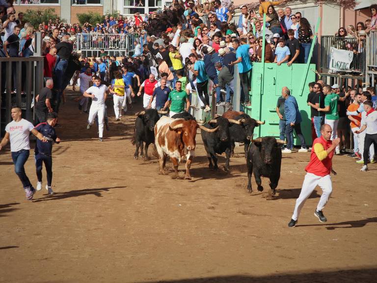 Miles de aficionados al toro de toda España disfrutan del primer encierro de cerriles a cargo de Lagunajanda en la Fira d’Onda.