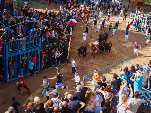 Éxito del primer encierro de toros cerriles en la Fira d’Onda