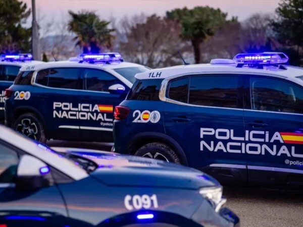 Falsificación de autorizaciones en construcción: 11 arrestos por estafa