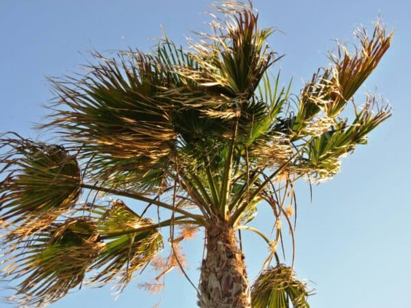 Fuertes vientos en el norte de Castellón y bajada de temperaturas