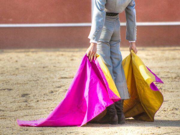 La Escuela Taurina de la Diputación de Castellón concluye su temporada