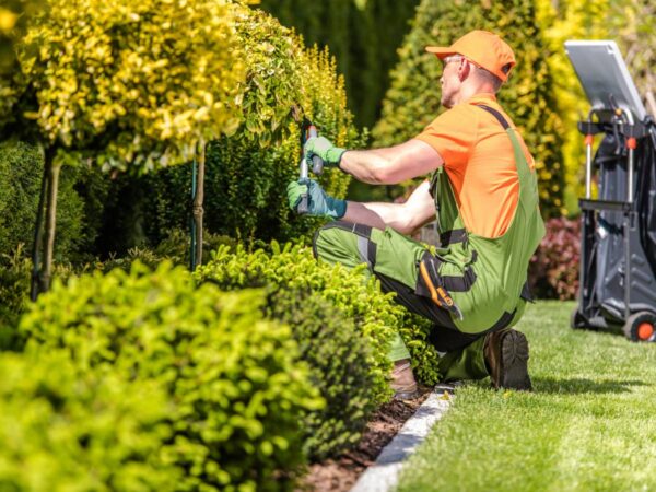 La Vall d’Uixó convoca seis plazas de peón de jardinería