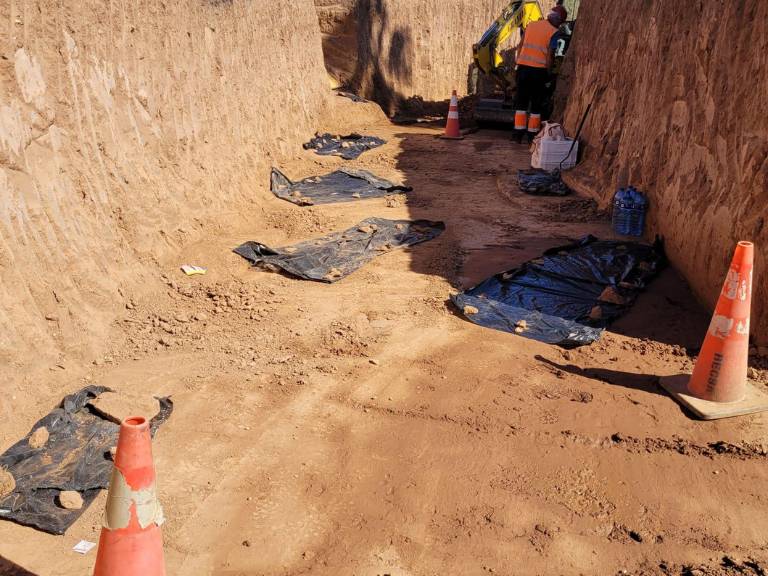 Desde el equipo de arqueología que trabaja en el campo, se ha dado a conocer la aparición de al menos seis nuevos enterramientos de época musulmana.