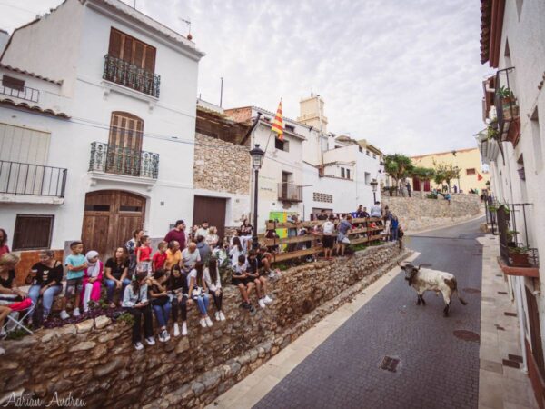 Oropesa continúa disfrutando de sus Fiestas de la Virgen de la Paciencia