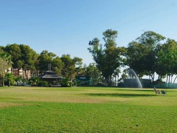 Oropesa del Mar consigue dos flores de los galardones ‘Viles en flor’