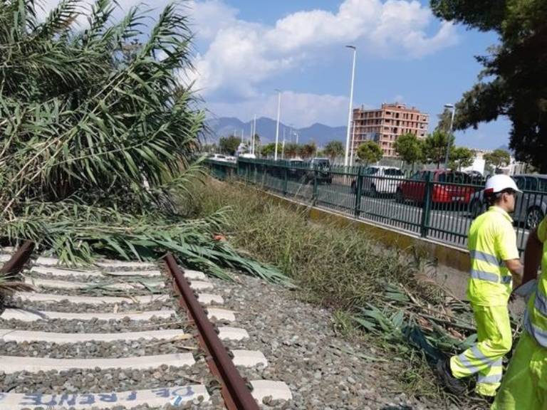 El objetivo principal es eliminar la vegetación que ha crecido en la zona, mejorando tanto la seguridad como la estética.