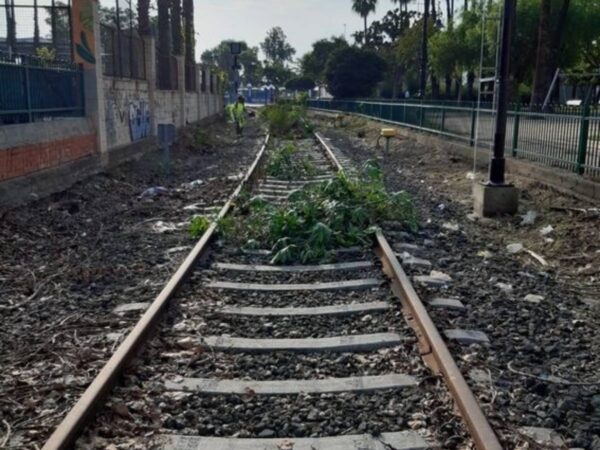 PortCastelló refuerza la limpieza de las antiguas vías del tren