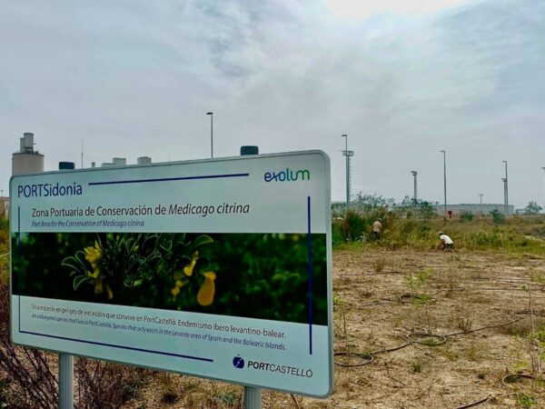 Sostenibilidad con PortCastelló y el proyecto de conservación en PortSidonia