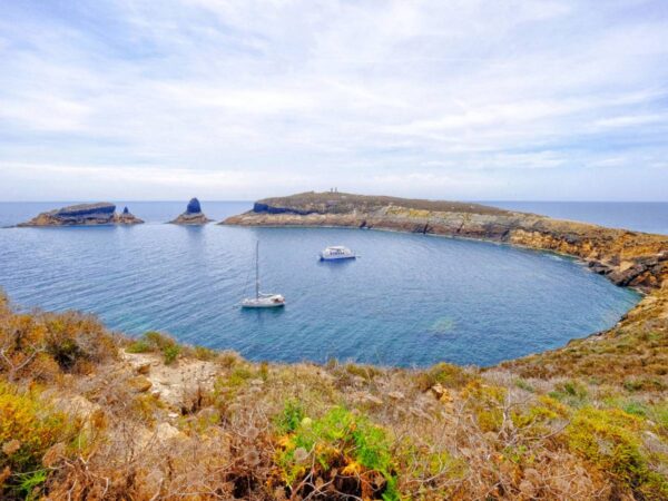 Un virus ataca la reserva marina de las islas Columbretes