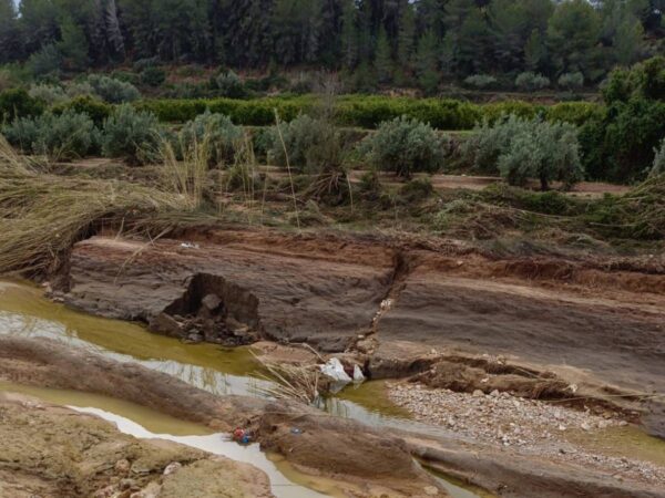 Agricultores piden ayudas inmediatas tras los daños de la DANA