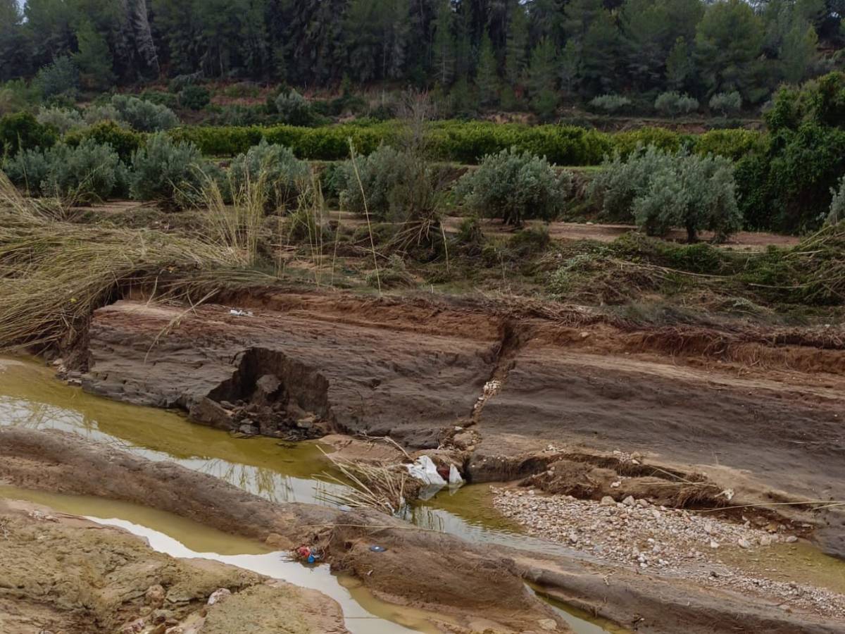 Agricultores piden ayudas inmediatas tras los daños de la DANA