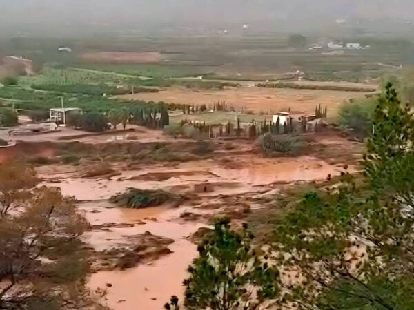 Agricultores luchan para salvar el ganado falto de alimento tras la DANA