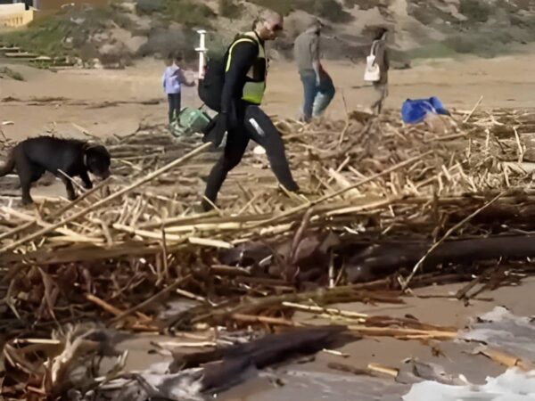 Aparecen varios cuerpos de víctimas de la DANA en las playas de Valencia