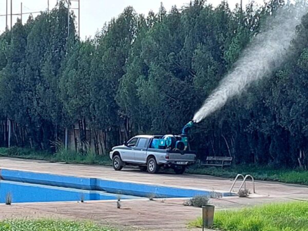 Fumigaciones urgentes en Castellón y el Grao para controlar mosquitos