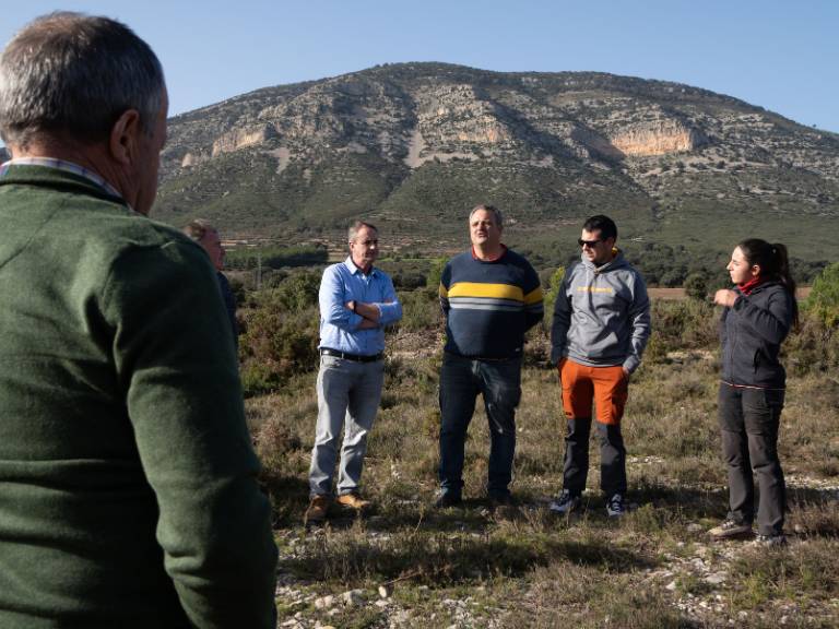 La prueba piloto, que se ha desarrollado en una finca de 160 hectáreas en el término municipal de Catí con 10 bovinos adultos, "ha evidenciado múltiples ventajas".