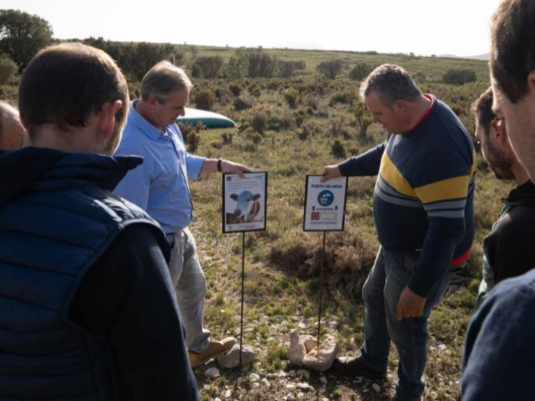 La prueba piloto, que se ha desarrollado en una finca de 160 hectáreas en el término municipal de Catí con 10 bovinos adultos, "ha evidenciado múltiples ventajas".