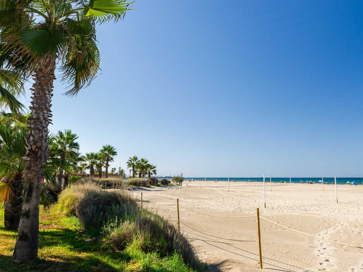 PortCastelló organiza una campaña de limpieza de playas en la zona del planetario