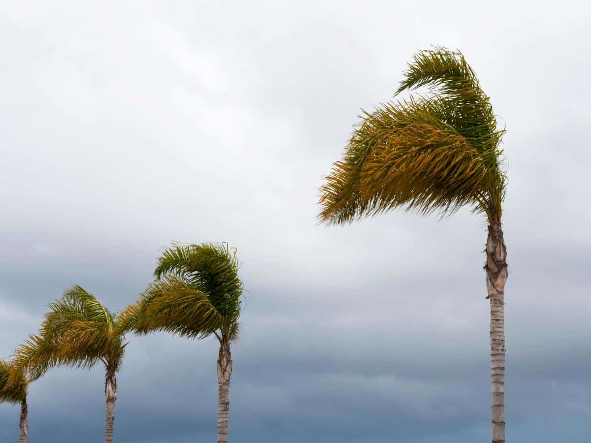 Aviso naranja por viento en Castellón y descenso de temperaturas