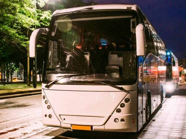 Bus nocturno y eventos para Nochevieja y Roscón de Reyes en Benicàssim