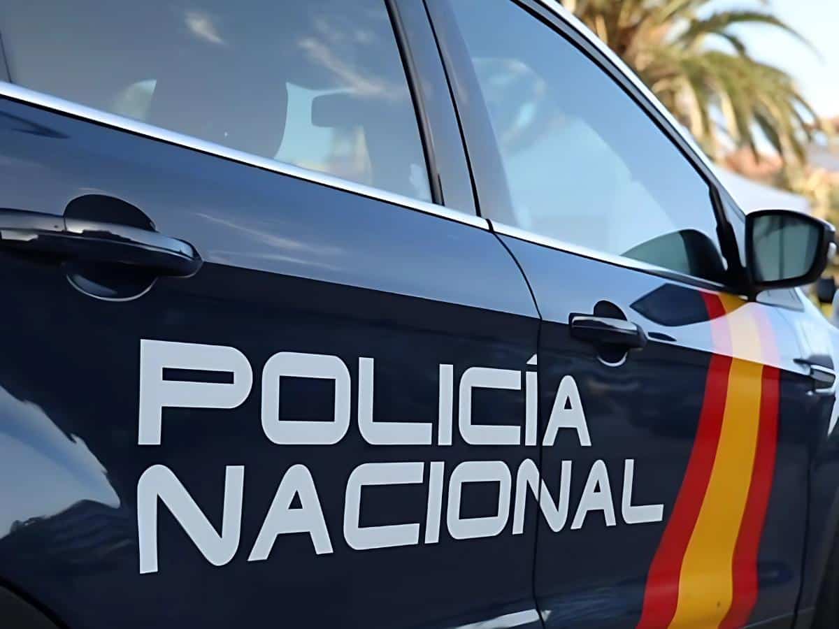 Detenidas 73 personas y 2.000 toneladas de productos falsificados intervenidos