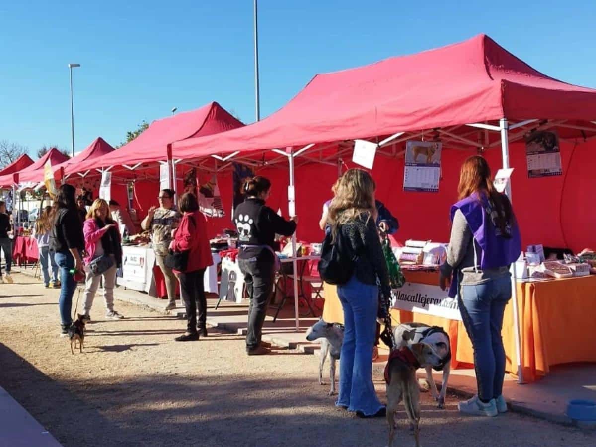 Feria de Adopción Responsable en Almassora con actividades y talleres para todos