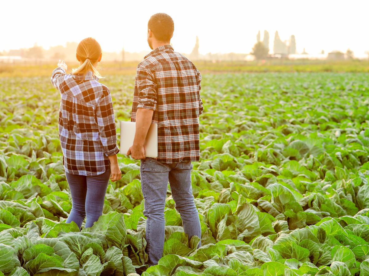 Ecologistas en Acción y Greenpeace piden el SDDR  contra el plástico en la agricultura