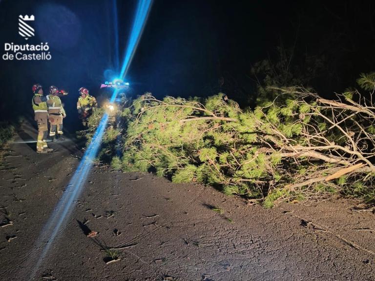 El fuerte viento también favoreció la aparición de incendios de vegetación, con un total de cuatro intervenciones en cuatro localidades.