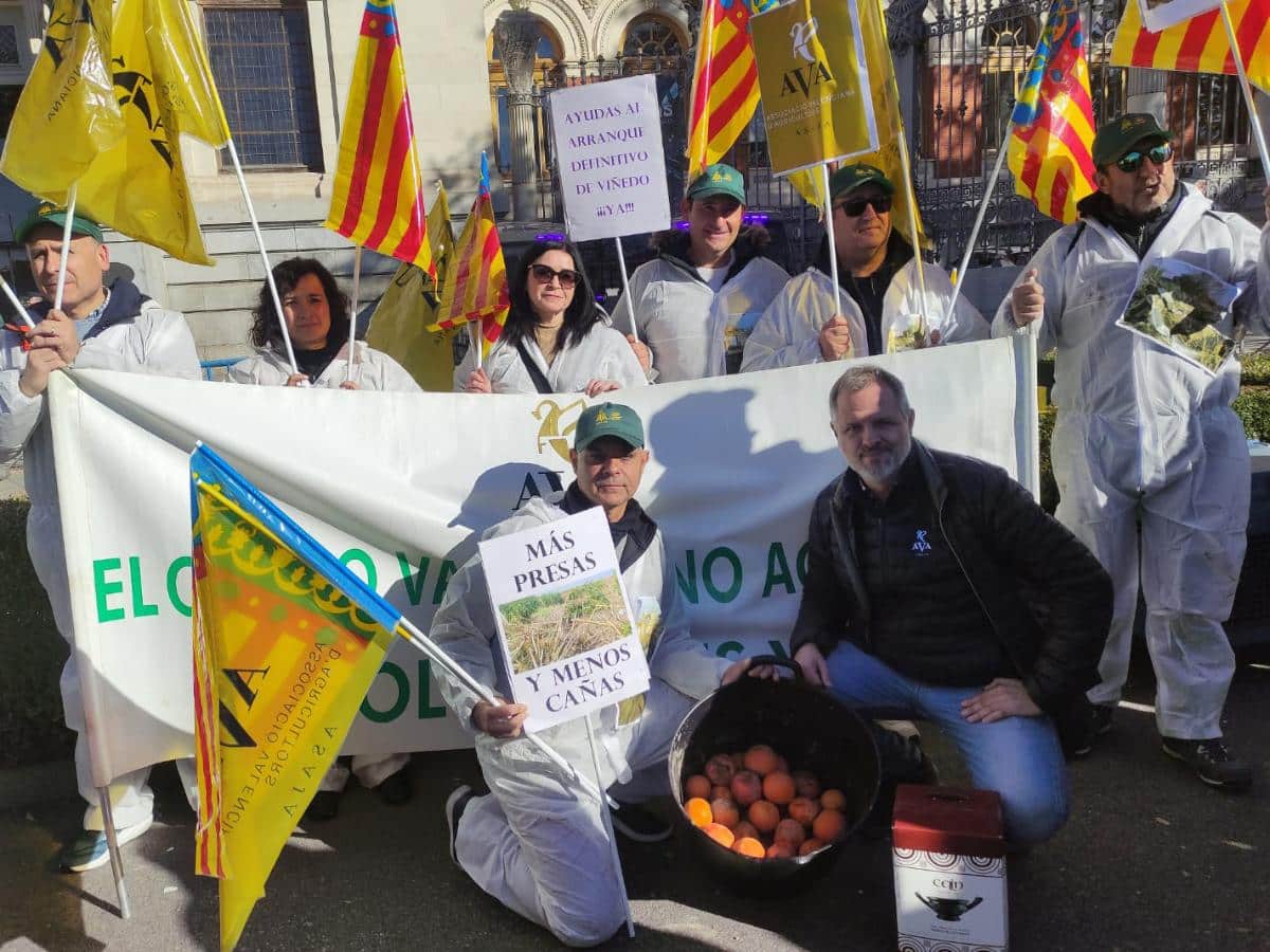 Protesta de AVA-ASAJA en Madrid contra la gestión de la DANA y el trato a los agricultores