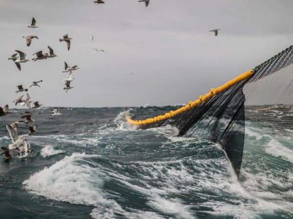 Acuerdo sobre el cambio de redes de arrastre para evitar recortes en la pesca