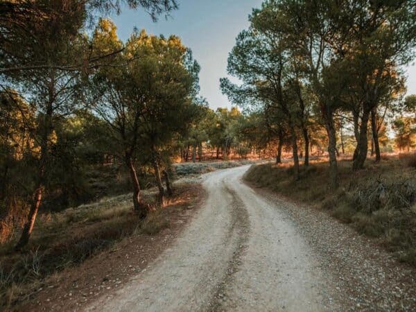 Aviso amarillo en Castellón por fuertes vientos y riesgo extremo de incendios