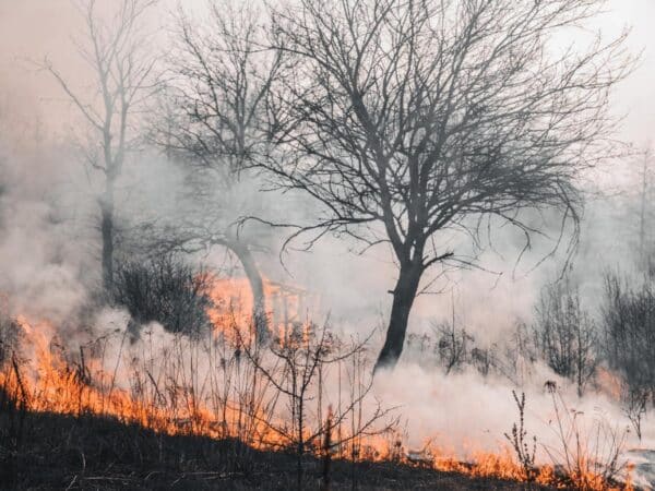 CECOPI aborda emergencia por viento, incendios y daños eléctricos