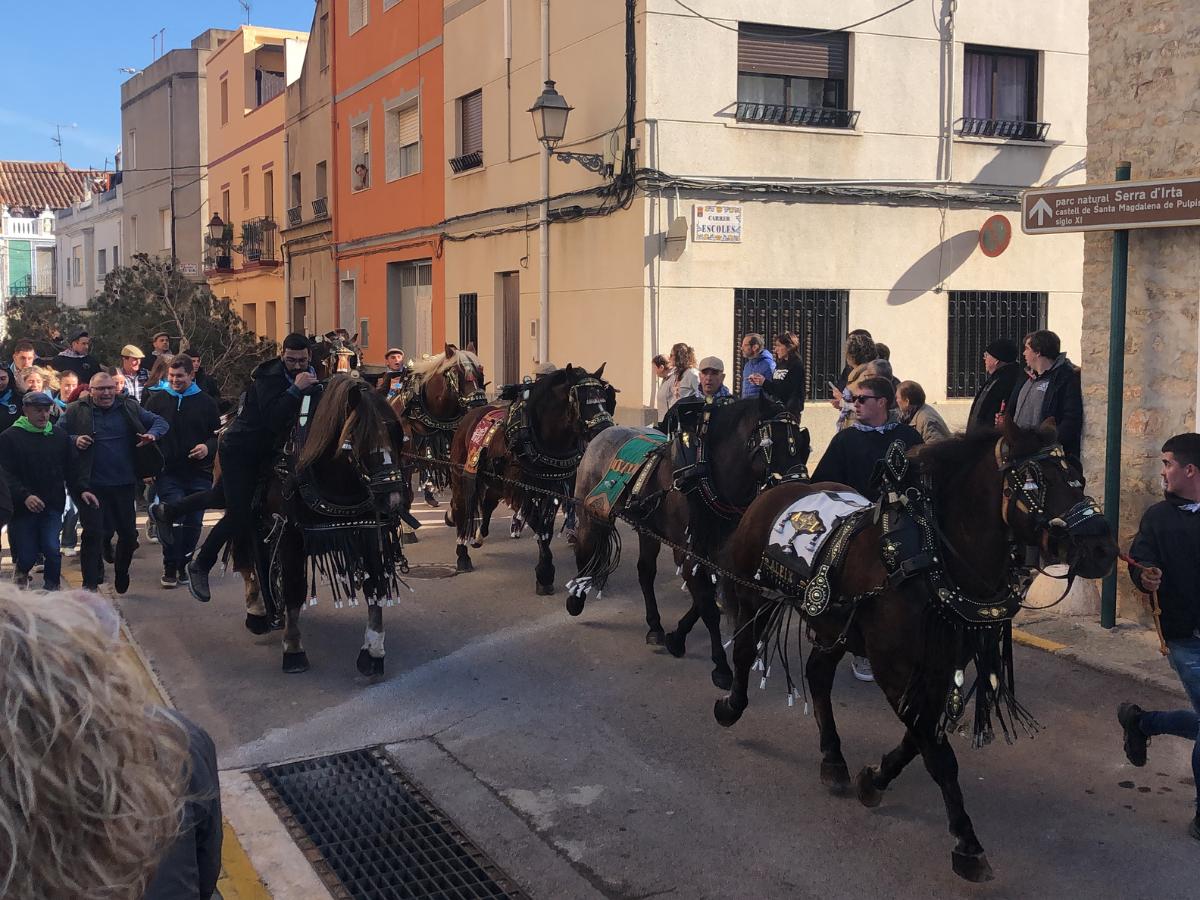 Detalles y recorrido de l’Entrà del Pi de Sant Antoni en Santa Magdalena