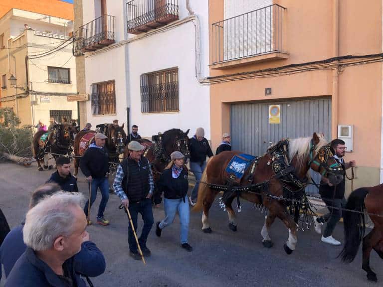 Los participantes compartieron un tradicional almuerzo de "Pa i Porta" en la ermita de San Vicente, una tradición que marca el comienzo de las festividades.