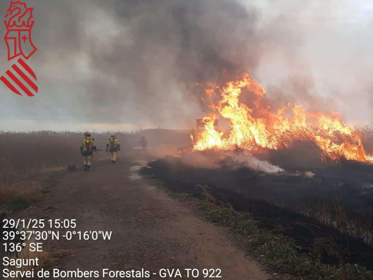 Incendio en la Marjal de Sagunto se descontrola y se convierte en forestal