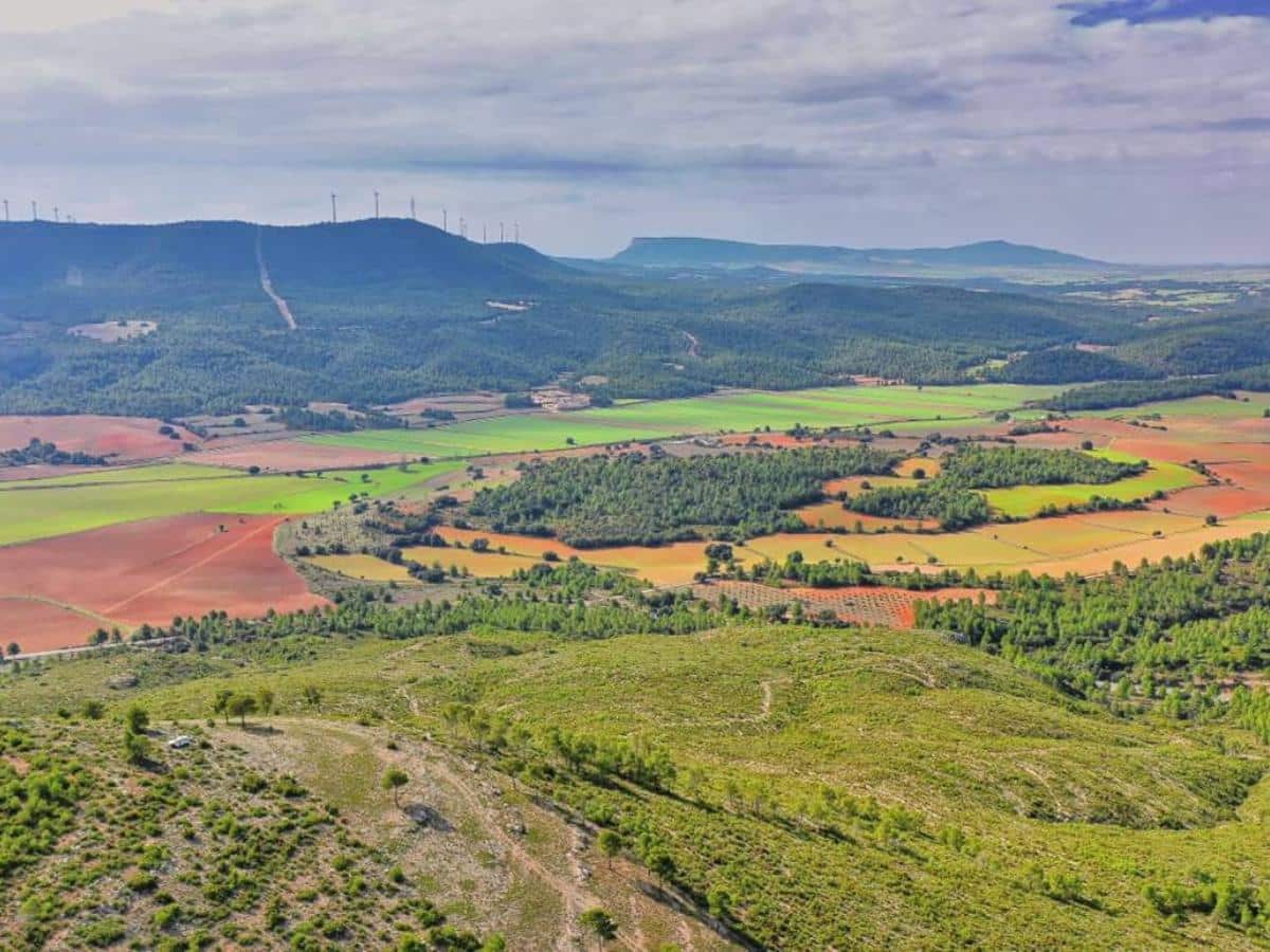 La «desordenada expansió de renovables» en el punt de mira d’Europa