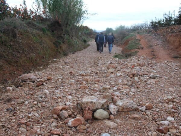 Advertencia de agricultores y ganaderos: si no hay rentabilidad, el campo desaparecerá