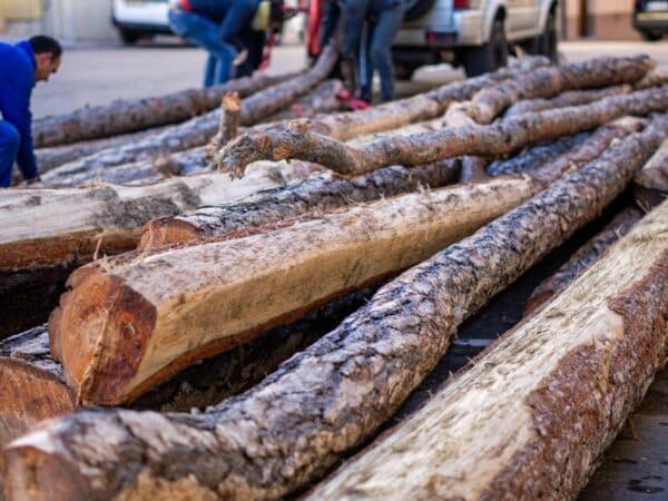 Las barras de Sant Antoni ya descansan en la plaza de Villafranca del Cid