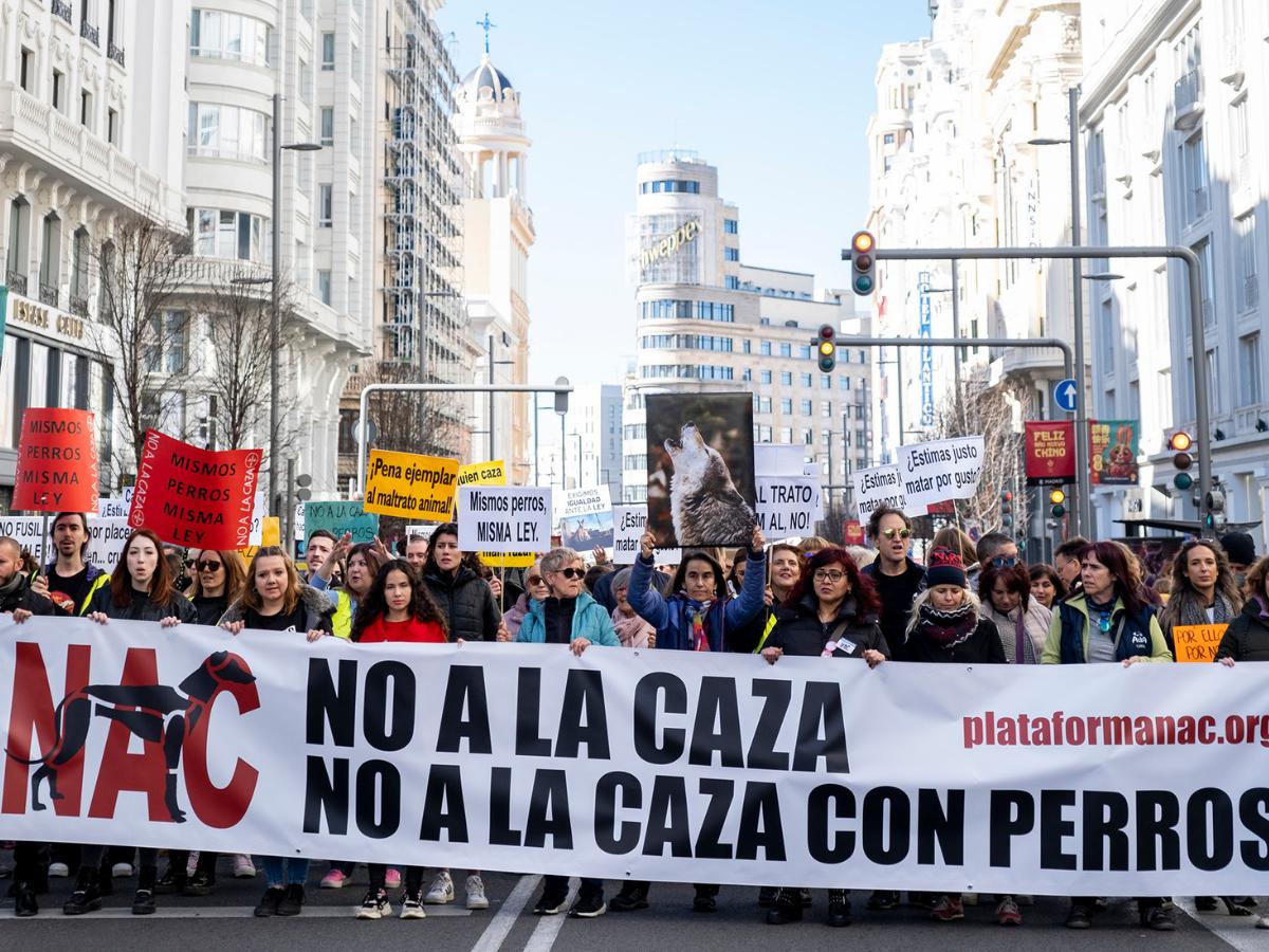 Manifestación por los derechos de los perros de caza