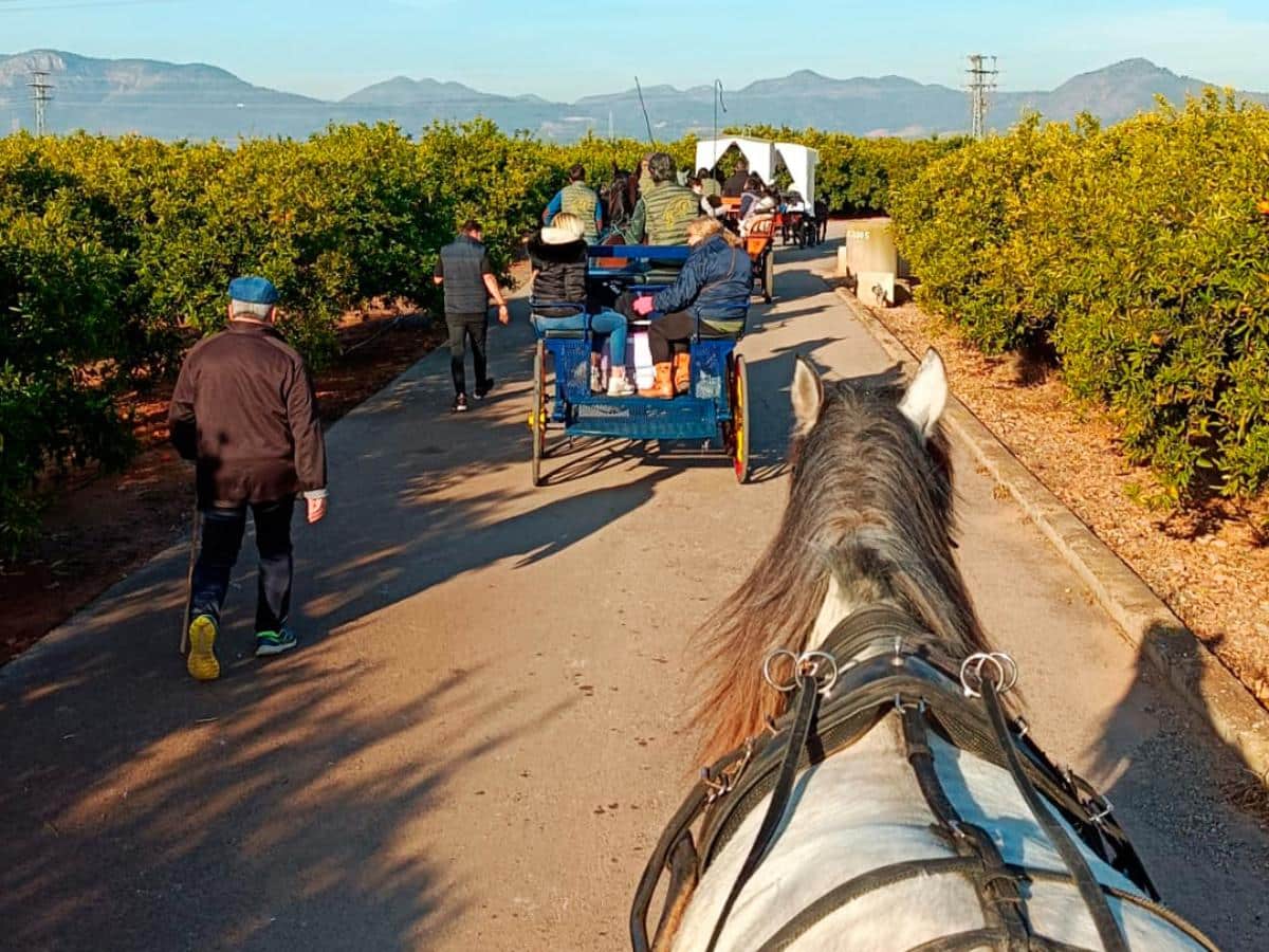 Nules celebrará la caminata a la Muntanyeta de Sant Antoni de Betxí