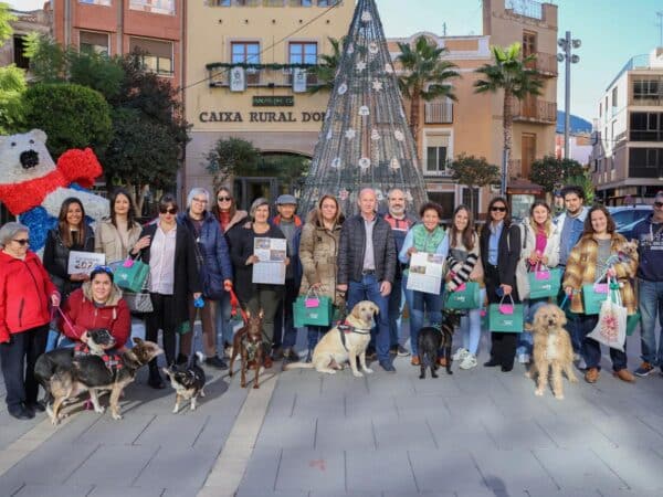 Onda Adopta cierra 2024 con 92 mascotas rescatadas