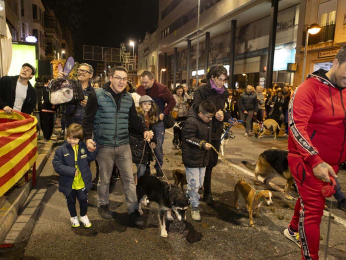 Programación de Sant Antoni 2025 a Vila-real: Matxà dels Lluïsos y reparto de panets