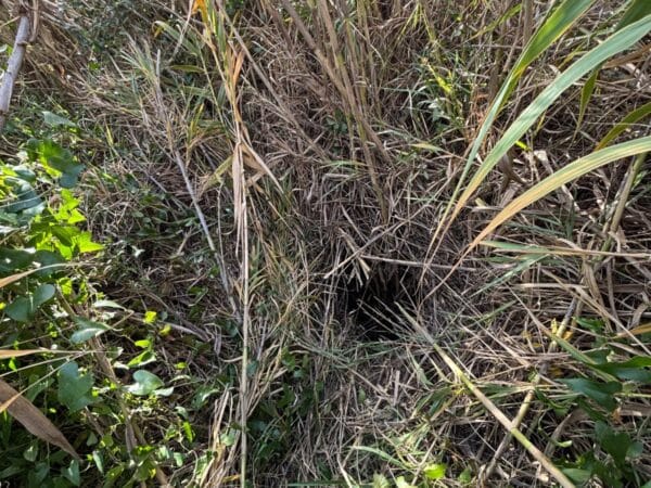 Rescatan a un hombre que estuvo horas en un profundo agujero en Ribarroja del Turia