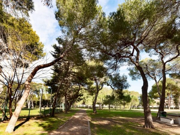 Alerta en Castellón por fuertes vientos y riesgo extremo de incendios forestales
