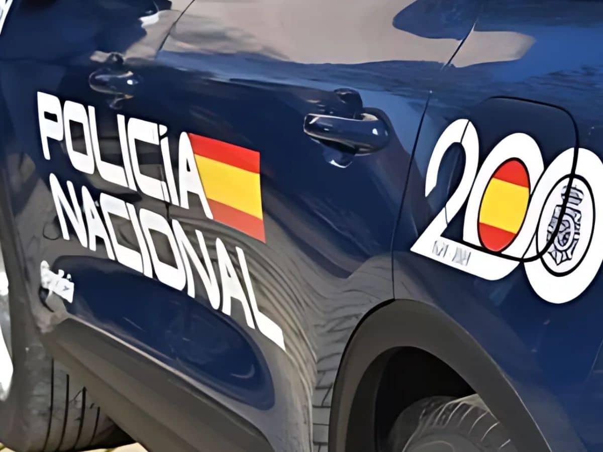 Dos detenidos por el robo de casi 5.000 kilos de aguacates en Castellón