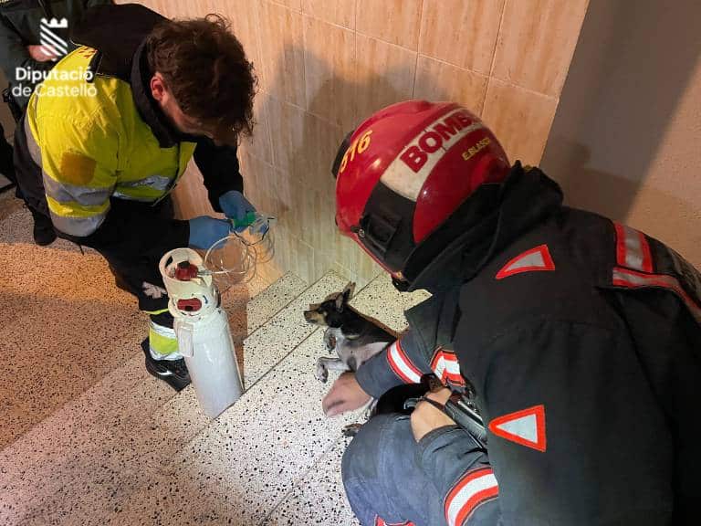 Policía y Guardia Civil desalojaron el edificio hasta que los bomberos aseguraron el regreso de los vecinos.