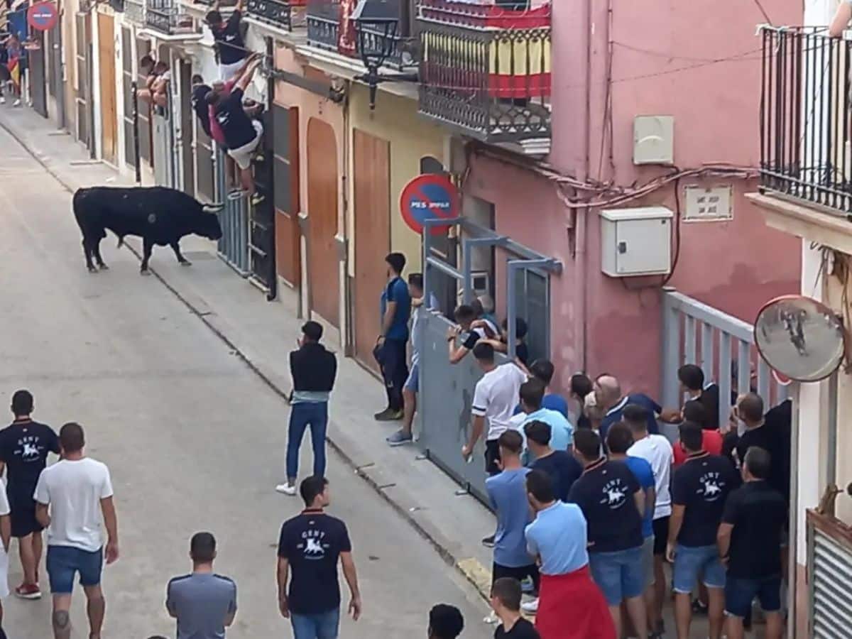 Almassora convoca el XXXII Concurso de Fotografía Taurina Fiestas de Santa Quitèria