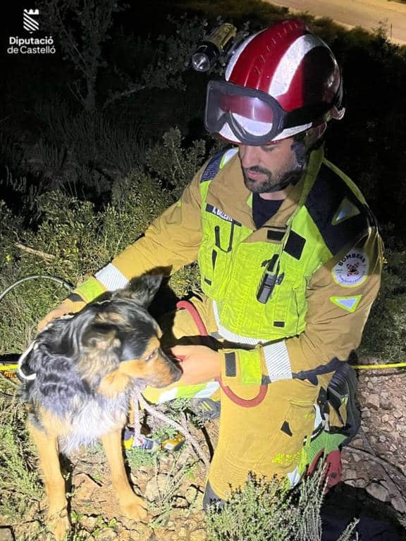 La intervención, realizada al final de la tarde, demandó una actuación coordinada de los bomberos, quienes actuaron con rapidez y precisión para liberar al animal.