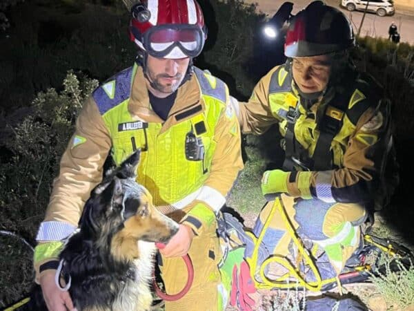 Angustioso rescate de un perro en Castellón