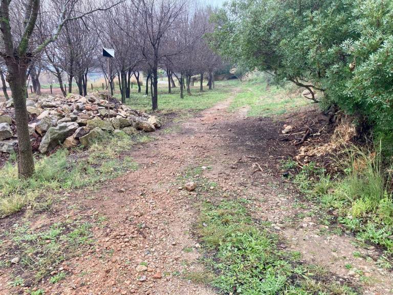 Los actos de vandalismo han sido "premeditados" y han generado considerables perjuicios en las fincas, situadas entre los municipios de Almenara y La Llosa.
